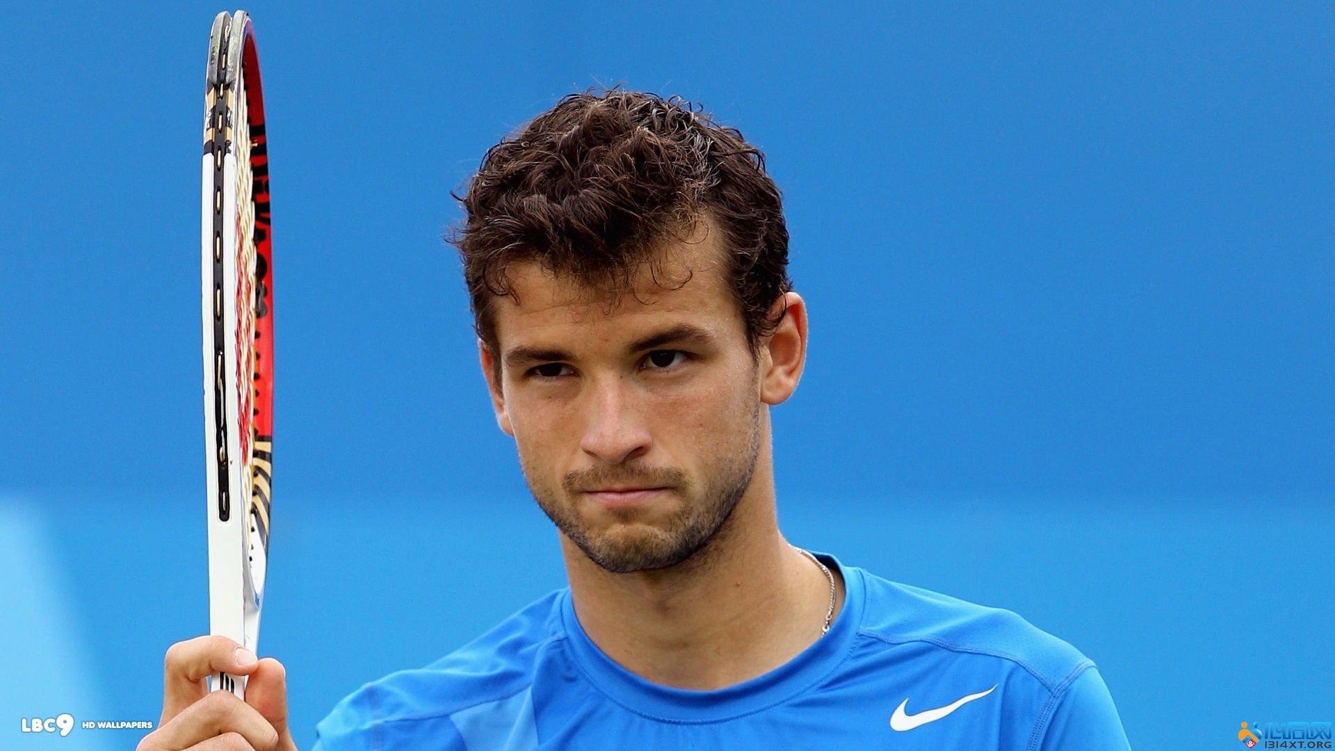 赋和成长曲 赋和成长曲